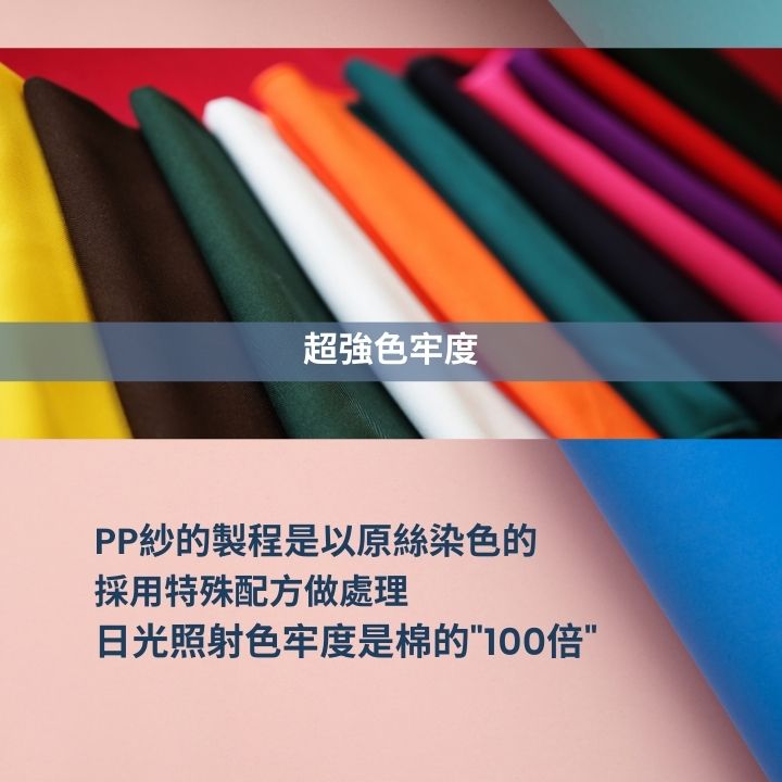 預購款~金剛鸚鵡後背包 PP紗材質(目前不在生產線上,即日起~5月16日前匯款確認收單,排單製作交期為8月30日,若有提早完成會通知寄出。)