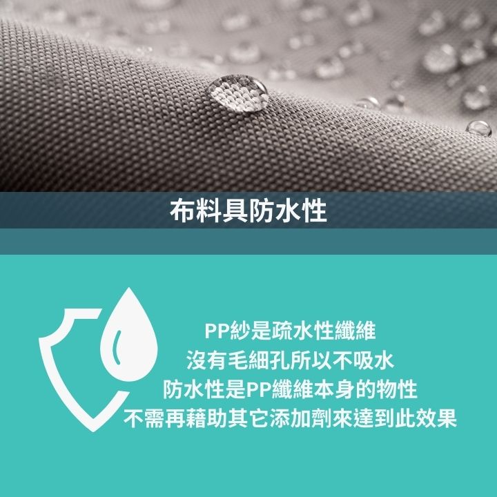 預購款~金剛鸚鵡後背包 PP紗材質(目前不在生產線上,即日起~5月16日前匯款確認收單,排單製作交期為8月30日,若有提早完成會通知寄出。)